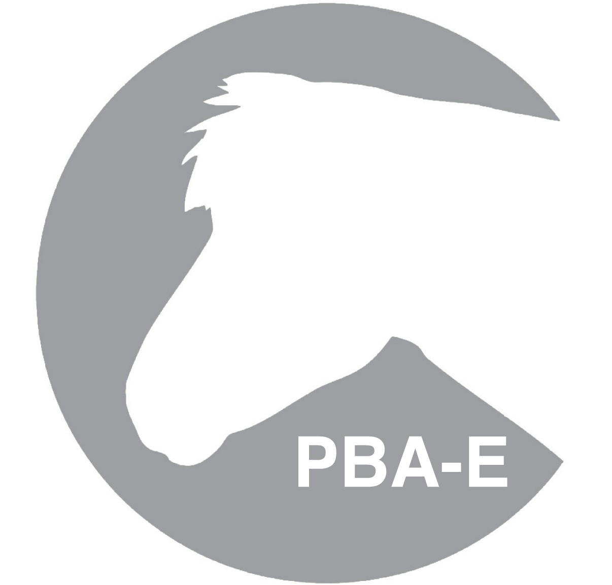 logo_pba-e_neu